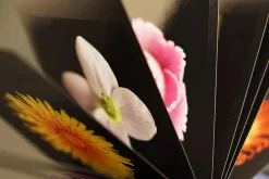 Seltmann Publishers Jahreskalender Flamboyant Flowers Outlet