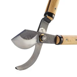 Kujaku Trading Company Japanische Astschere Discount