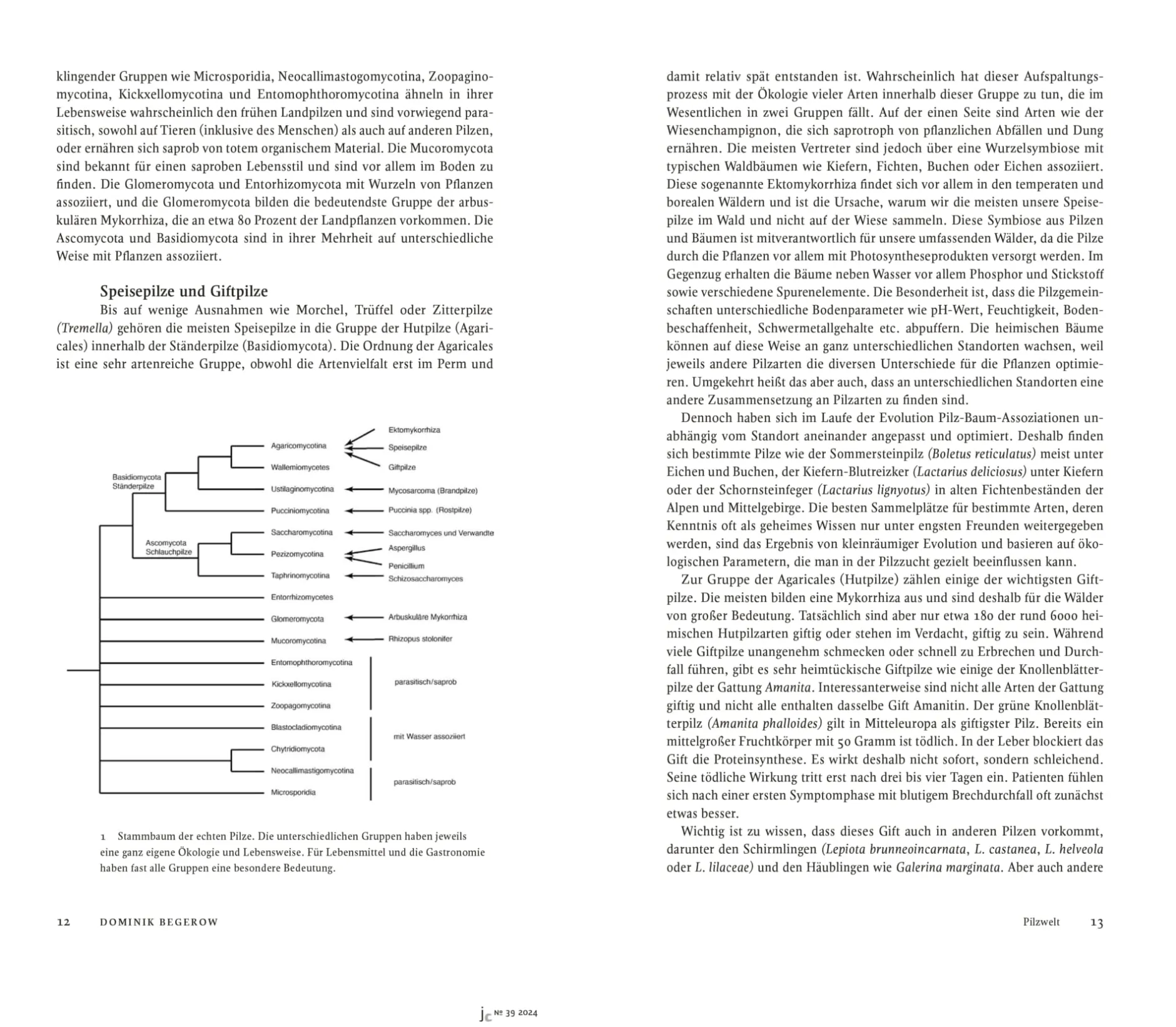 Edition Wurzer & Vilgis Journal Culinaire Clearance