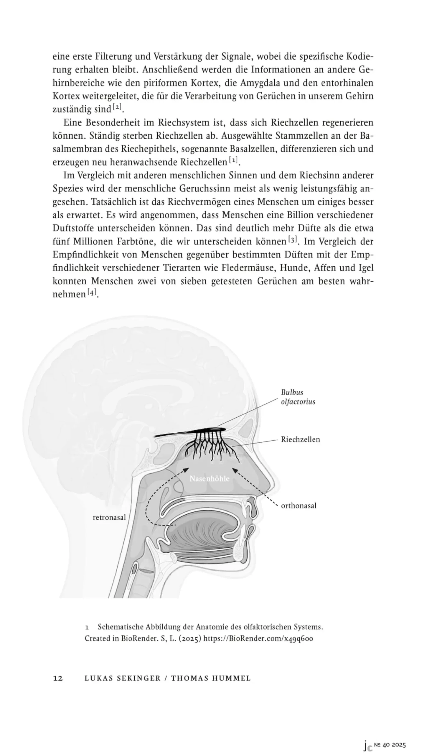 Edition Wurzer & Vilgis Journal Culinaire Best