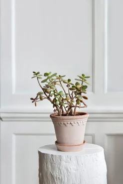 Bergs Potter Københavner Pflanztopf mit Untersetzer