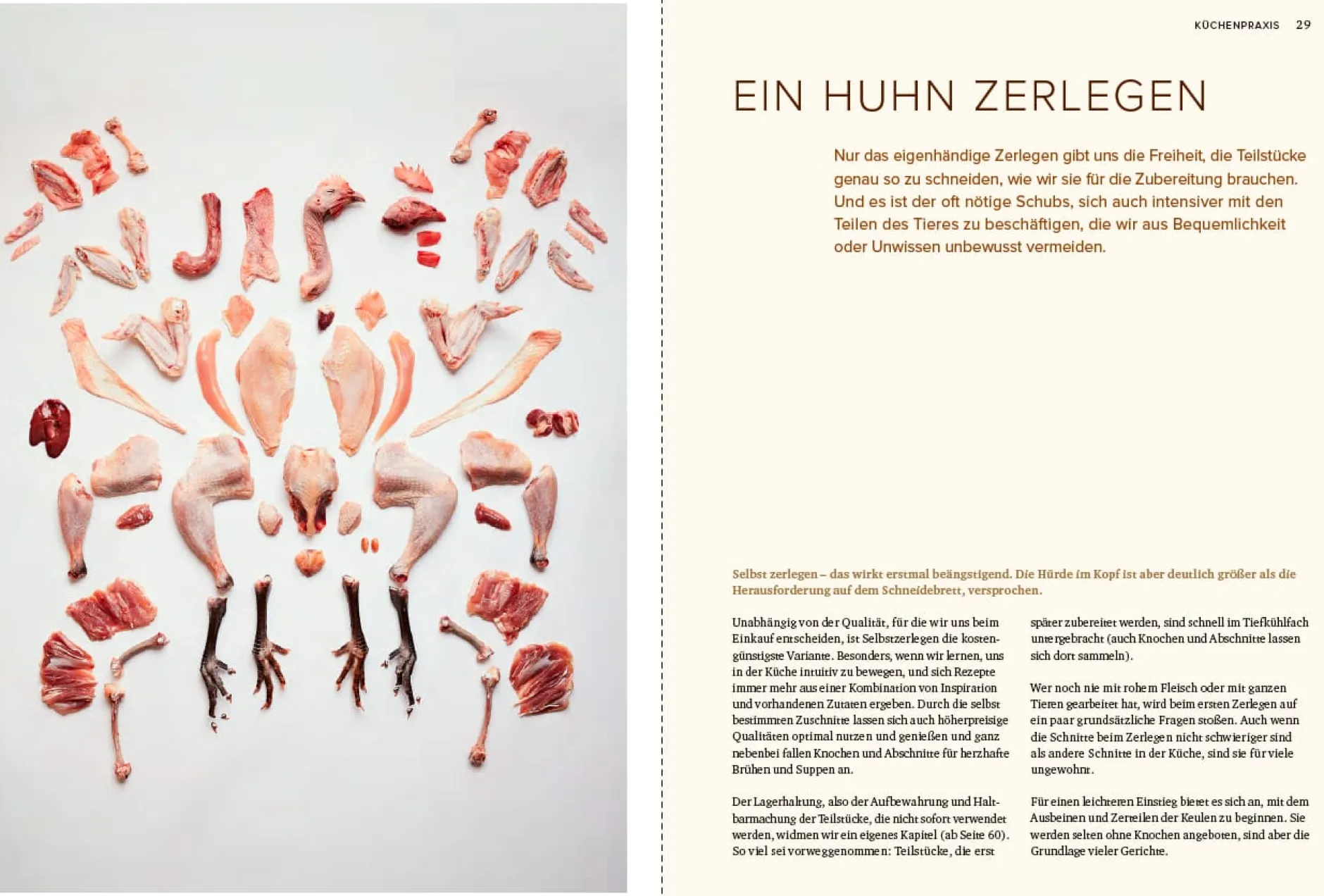Ulmer Verlag Küchenhandbuch Huhn Hot