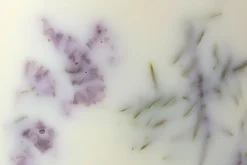 Munio Candela Kerze mit Duft Discount