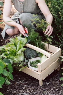 Clauberg Filhos Kleine Gartenschere Discount