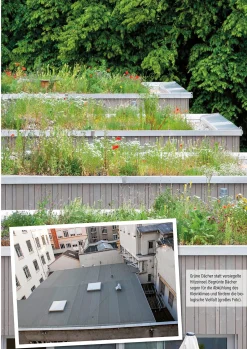 Pala-Verlag Klimafest und artenreich New