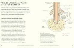 Dorling Kindersley Verlag Kompost New