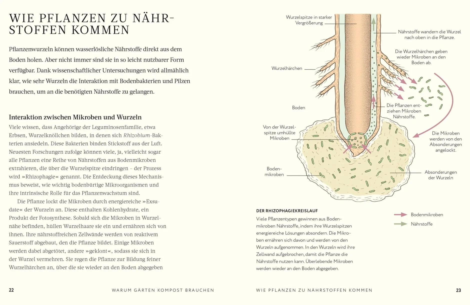 Dorling Kindersley Verlag Kompost New