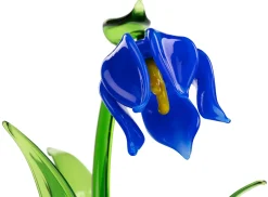 Farbglashütte Lauscha Lauschaer Glockenblume Hot