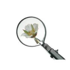 W. Kretzer Lupenpinzette Edelstahl