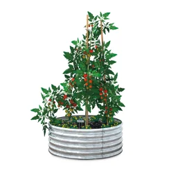 Manufactum Tomatenring Wellblech Sale