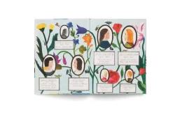 Hatje Cantz Verlag Maria Sibylla Merian - Ein Leben mit Pinsel, Lupe und Papier Clearance