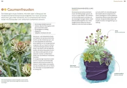 Ulmer Verlag Mein Garten wächst im Topf Clearance