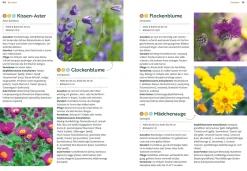 Ulmer Verlag Mein Garten wächst im Topf Clearance