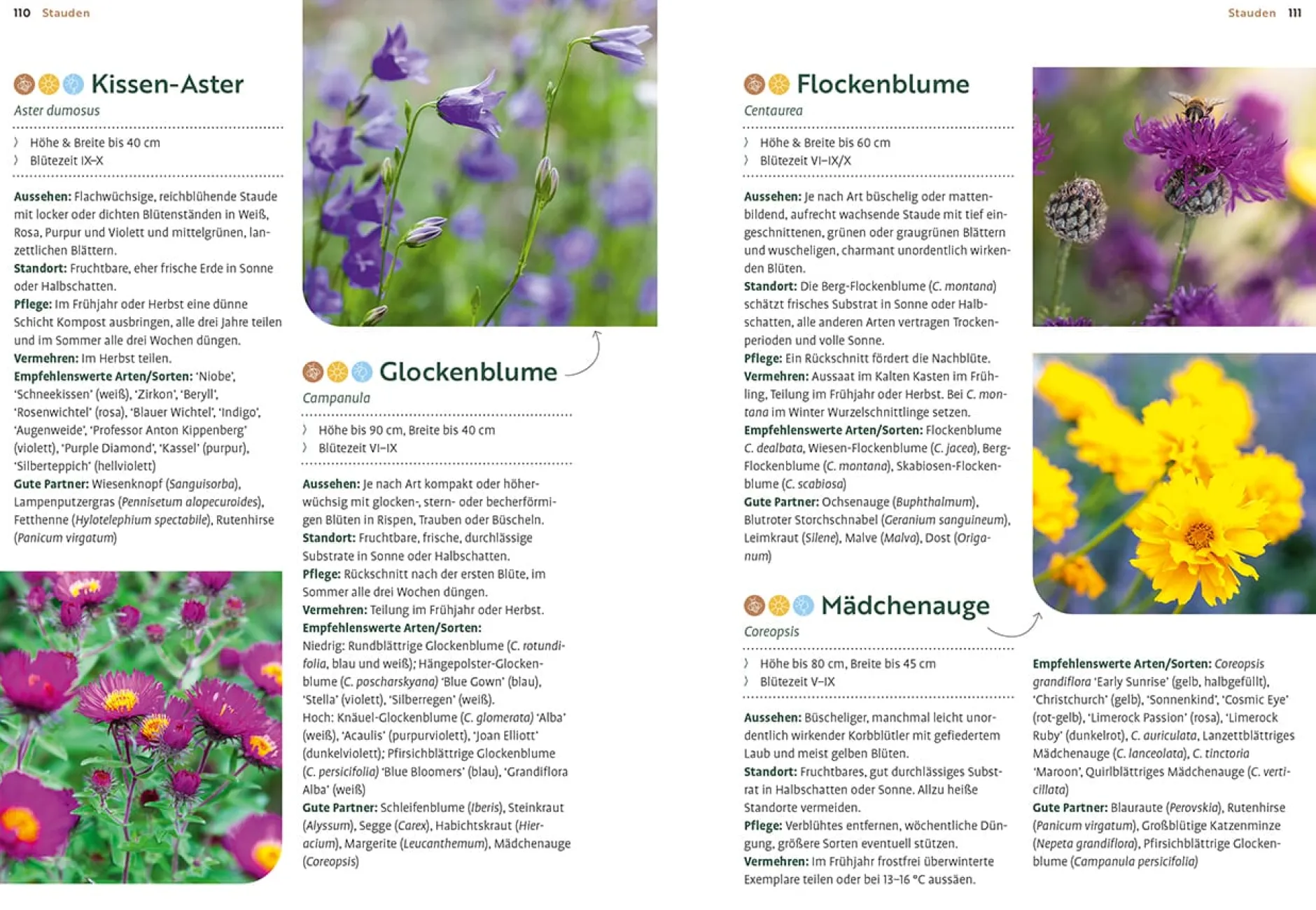 Ulmer Verlag Mein Garten wächst im Topf Clearance