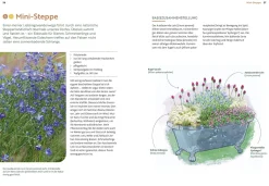 Ulmer Verlag Mein Garten wächst im Topf Clearance