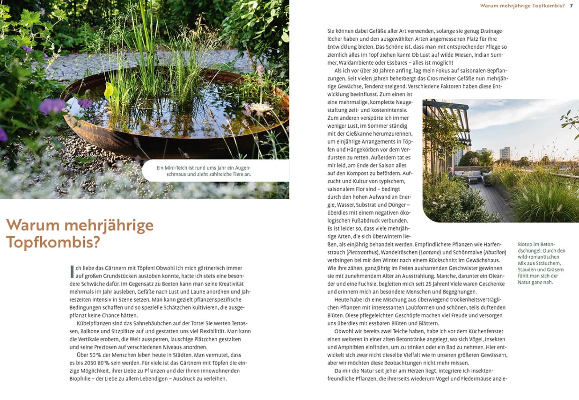 Ulmer Verlag Mein Garten wächst im Topf Clearance