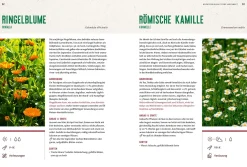 Ulmer Verlag Mein Heilpflanzen-Hochbeet Hot