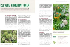 Ulmer Verlag Mein Heilpflanzen-Hochbeet Hot