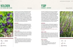 Ulmer Verlag Mein Heilpflanzen-Hochbeet Hot