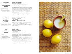 Phaidon Verlag Mexiko vegetarisch Hot