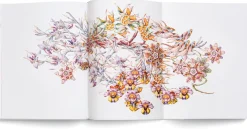 Hatje Cantz Verlag Miron Schmückle