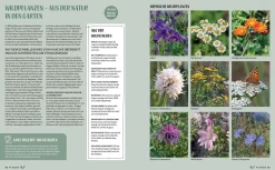 Prestel Verlag Morgen grüner Hot