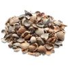 herb's Bioland Muschelmulch Outlet