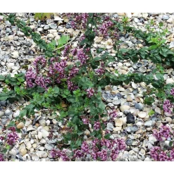 herb's Bioland Muschelmulch Outlet