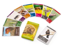 Quelle ＆ Meyer Verlag Naturquartett Tiere im Garten Best