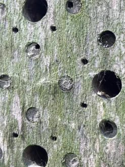 SIDE BY SIDE Nisthilfe Bienenhotel Bee's Inn Discount