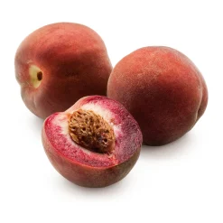 Manufactum Obstgehölz 'Roter Weinbergpfirsich' Best