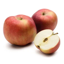 Martin Müller Baumschulen Obstgehölz Säulenapfel 'Black McIntosh' Best