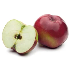 Martin Müller Baumschulen Obstgehölz Säulenapfel 'Black McIntosh' Best