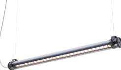 Sammode Pendelleuchte Purcell Sale