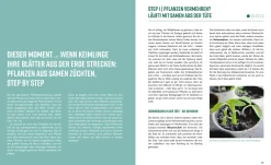 Löwenzahn Verlag Pflanzen-Lovestory New