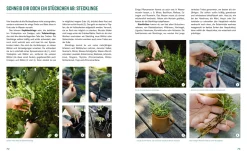 Löwenzahn Verlag Pflanzen-Lovestory New