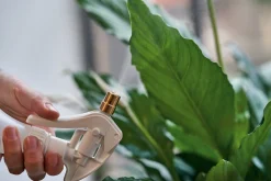 Birchmeier Sprühtechnik Pflanzensprüher mit Messingdüse Discount