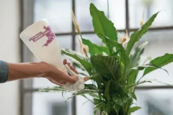 Birchmeier Sprühtechnik Pflanzensprüher mit Messingdüse Discount