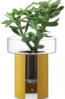 Pflanzgefäß Terrazza Gelb Online