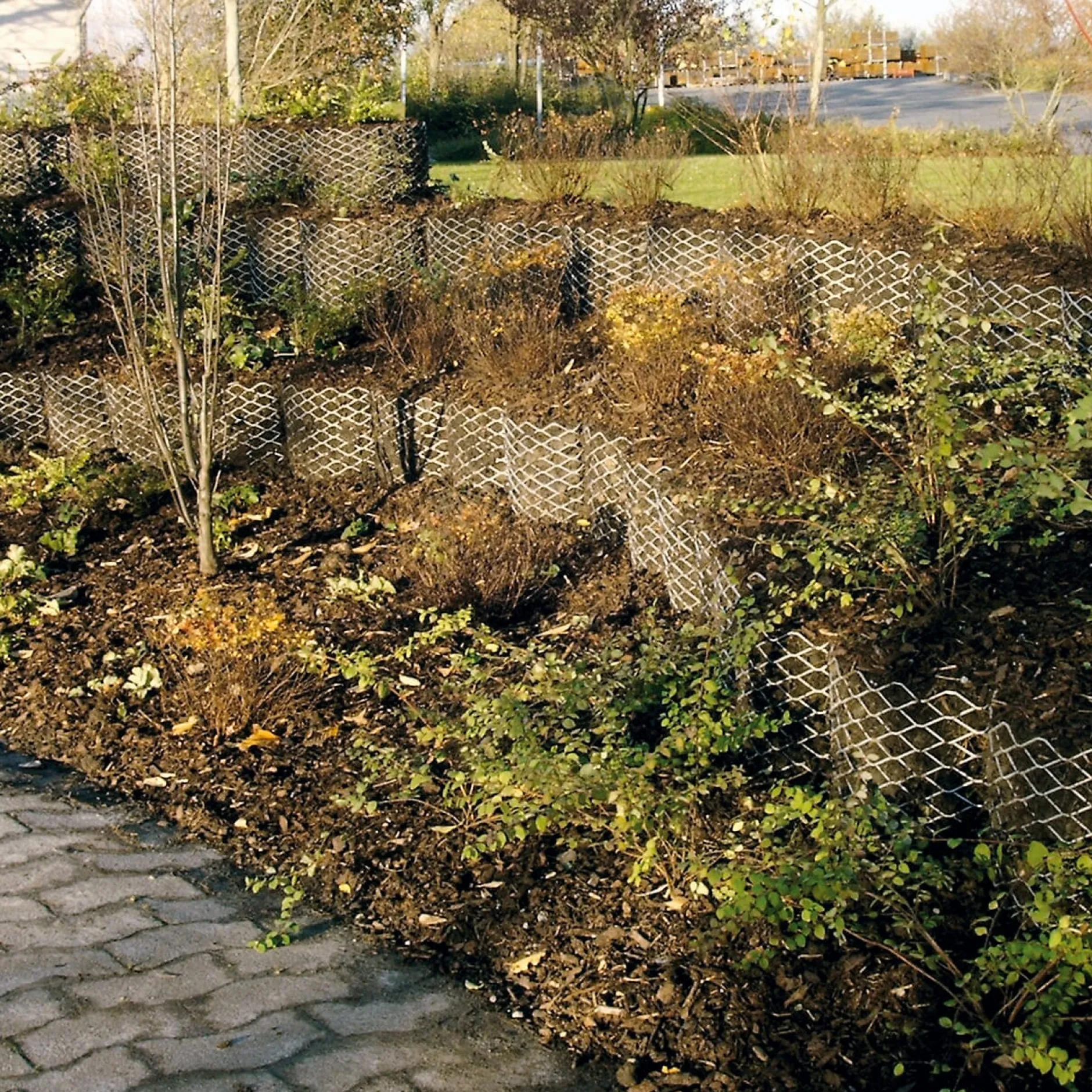 Franz Brinkmann Pflanzkorb Hangbefestigung Online