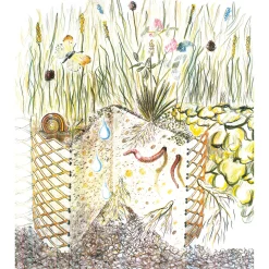 Franz Brinkmann Pflanzkorb Hangbefestigung Online