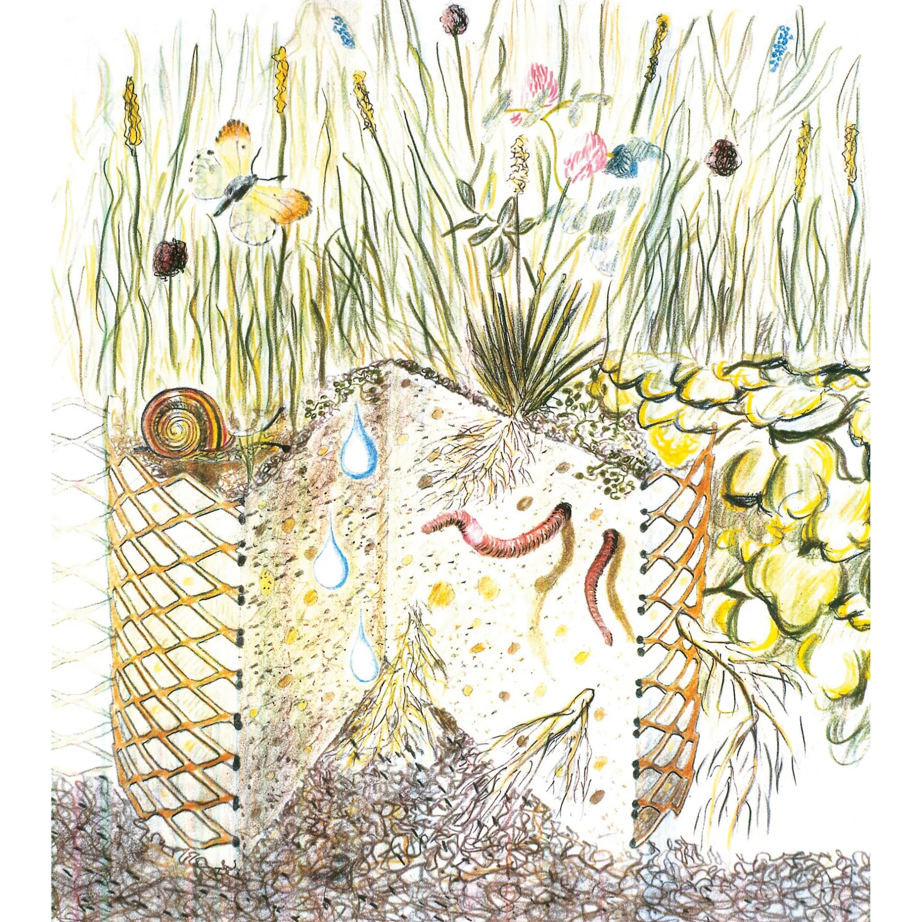 Franz Brinkmann Pflanzkorb Hangbefestigung Online