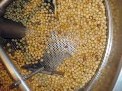 Azienda Agricola Papa dei Boschi Piemontesische Haselnüsse New