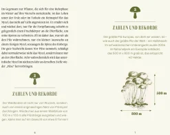 Jan Thorbecke Verlag Pilze Hot