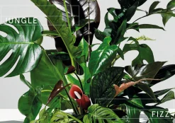 avedition Plants at Work Best