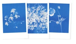 Herr & Frau Rio Postkarten-Set Riso