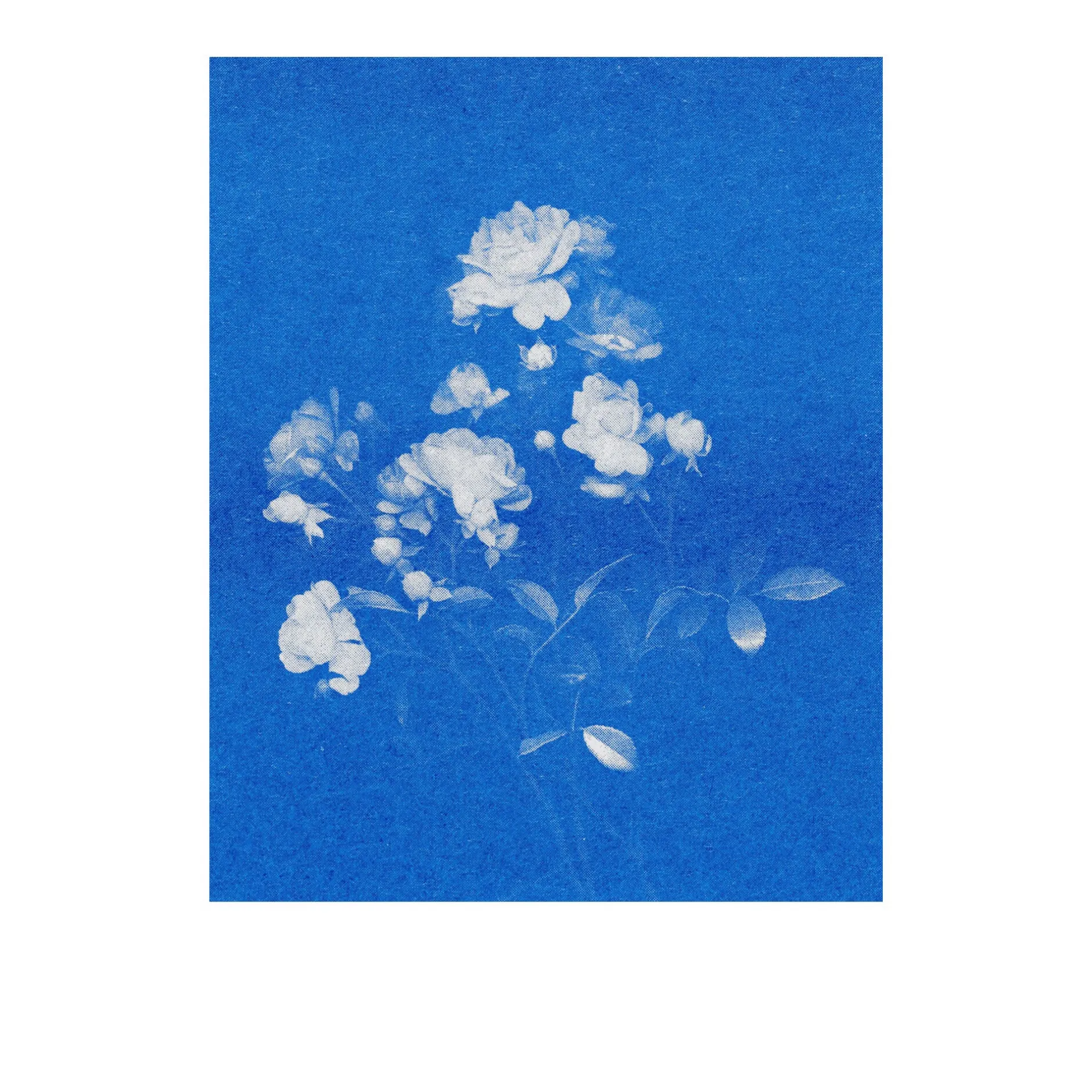 Herr & Frau Rio Postkarten-Set Riso