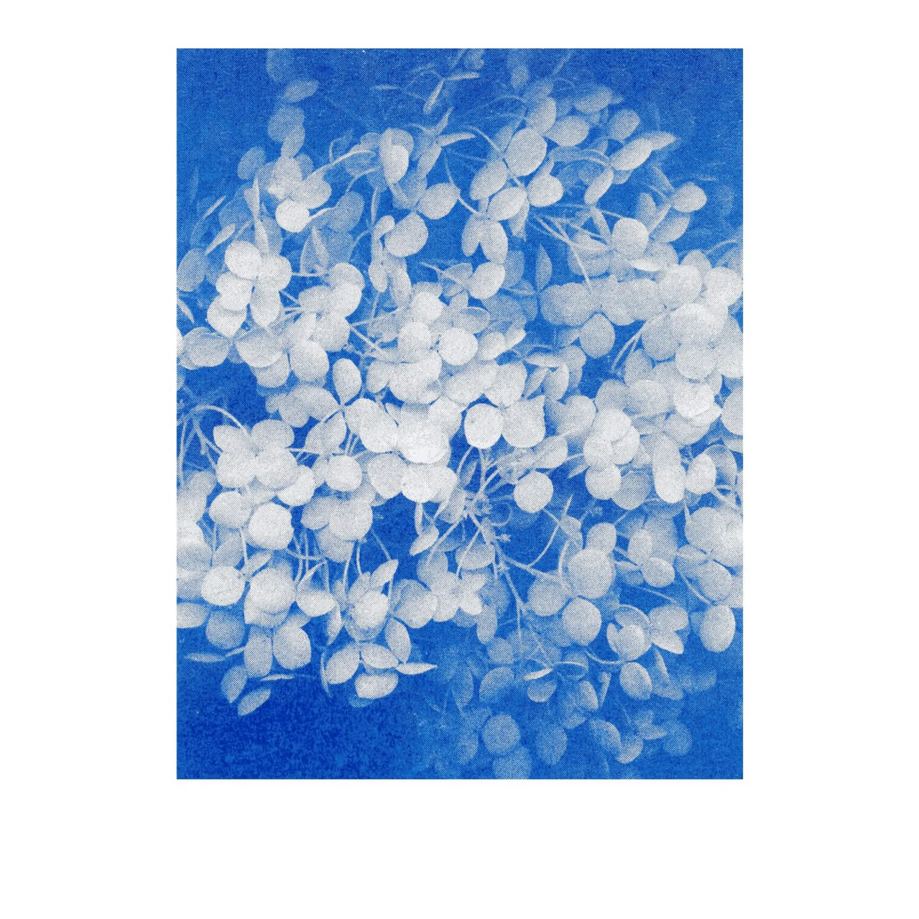 Herr & Frau Rio Postkarten-Set Riso