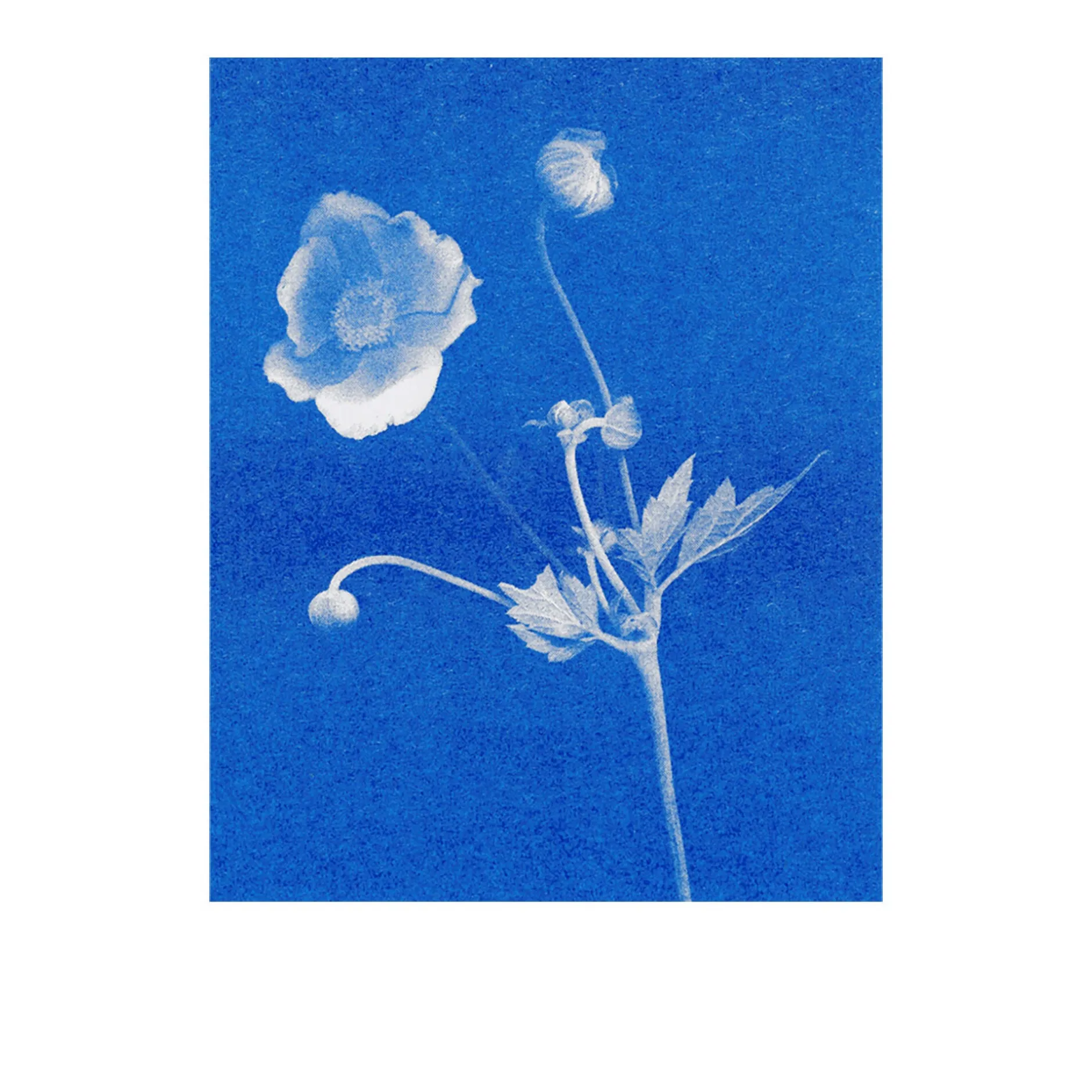 Herr & Frau Rio Postkarten-Set Riso