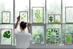 Moebe Rahmen Frame, Holz Hot